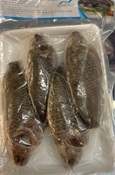 Cá rô đồng - khay - Man Mart