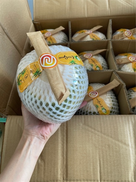 Dừa tươi - quả