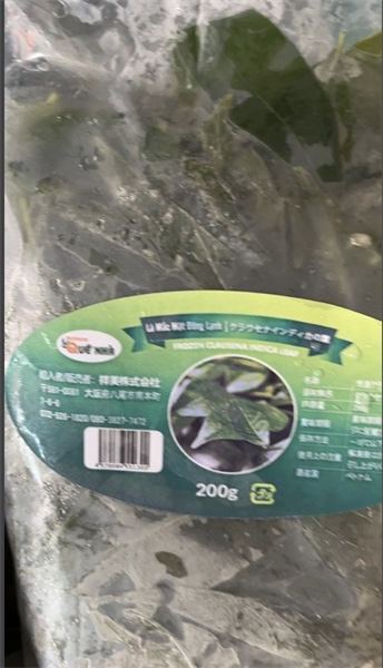 Lá móc mật - túi