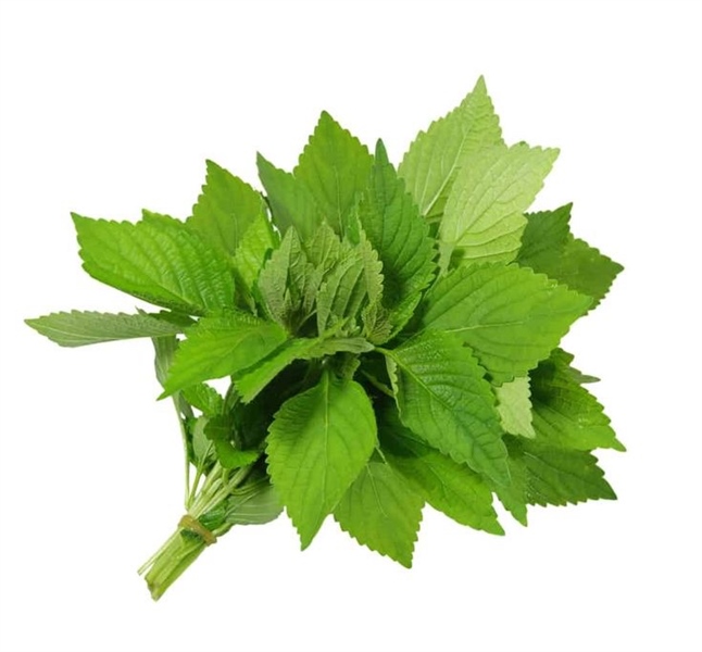 Rau kinh giới - bịch