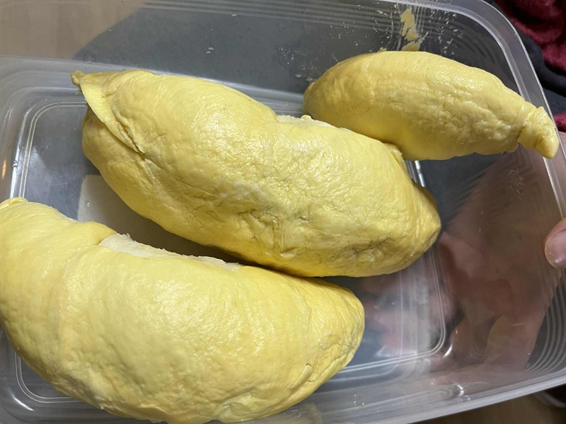 Sầu riêng Ri6 - Kg