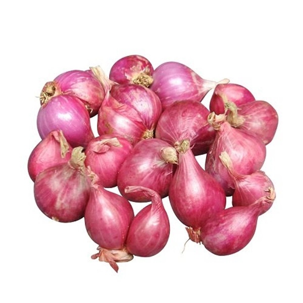 Hành khô